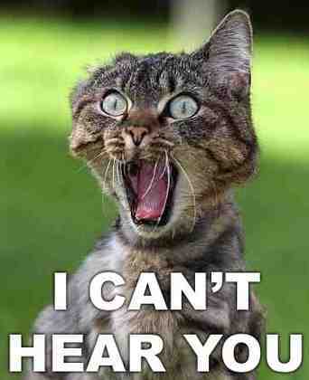 crystal1012's profile picture. 