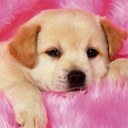 Ana Allen - @sixinthelead - Twitter