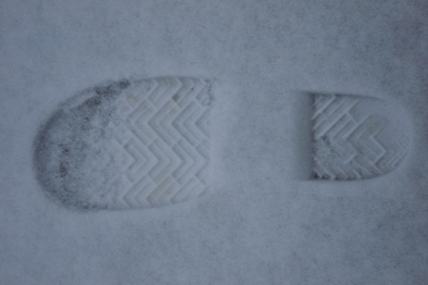 ti2ger's profile picture. 