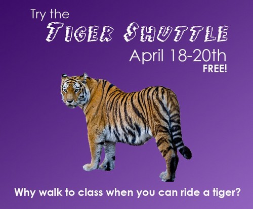 TigerShuttlebus's profile picture. 