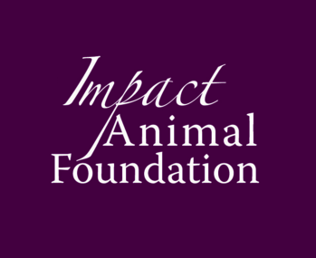 ImpactAnimals's profile picture. Impact is a selective intake dog and cat rescue in College Station, TX. We have rescued, rehabilitated, and rehomed over 900 animals.