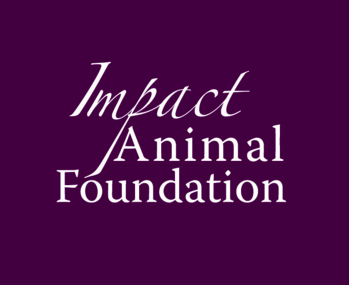 Impact is a selective intake dog and cat rescue in College Station, TX. We have rescued, rehabilitated, and rehomed over 900 animals.