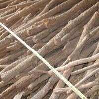 uruiamme (@uruiamme) 's Twitter Profile Photo