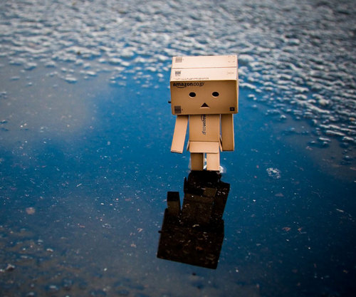 iaowoon's profile picture. 我是正常人x 哈哈