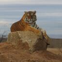 Jeff Behm - @wilRobinson - Twitter