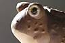 I teach Bio 105 at Gateway Community College-here are fun links, quotes, and information!
