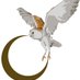 Experience Exmoor (@experiencexmoor) Twitter profile photo Experience Exmoor (@experiencexmoor) Twitter profile photo