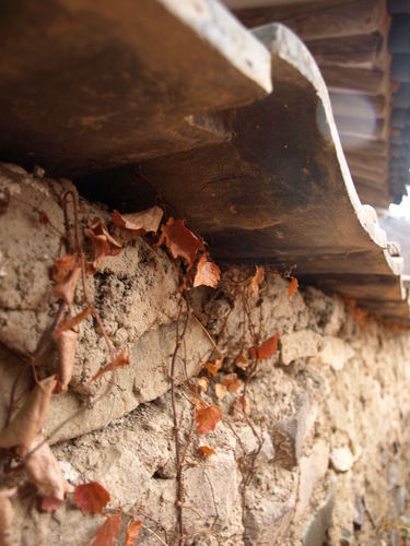 forestflower19's profile picture. 아름다운 우리 농어촌에 관심많은 사람입니다. 맞팔이 늦더라도 기다려주세요!