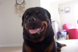 the pic is of my best friend of 11 years she is angel