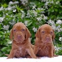 sarah bibby - @sarahabibby - Twitter