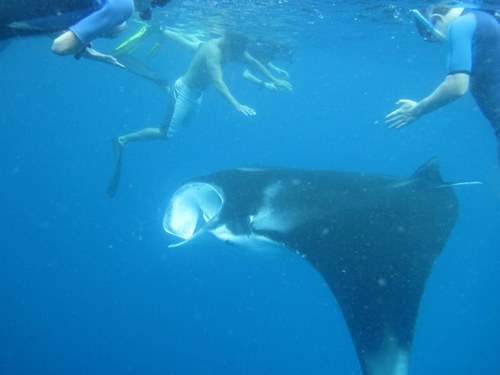 annalipkin's profile picture. 