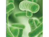 Alex Mackay - @themicrobiome - Twitter