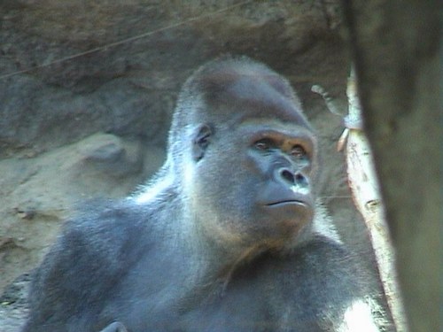 onejeffdavies's profile picture. A bad day fishing is better than any day at work!!!!