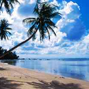 Tiffany Freeman - @harleyFrank - Twitter