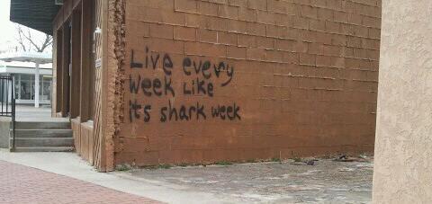 LeighStephenso2's profile picture. happy