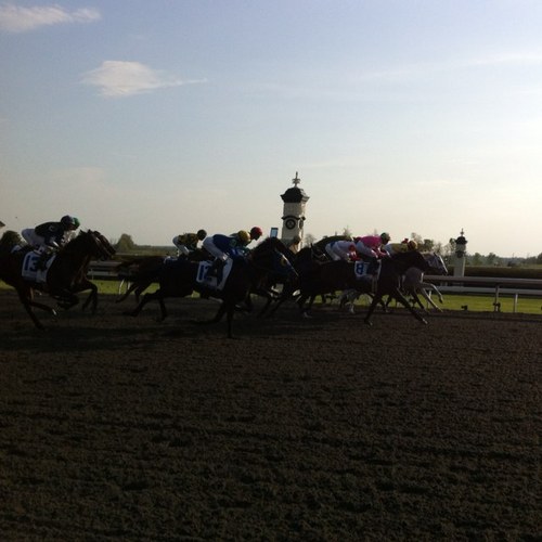 KimmerMcB's profile picture. 