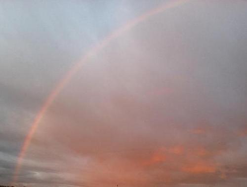 dgage2's profile picture. 