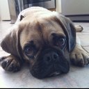 Angela Pieper - @PieperAngela - Twitter