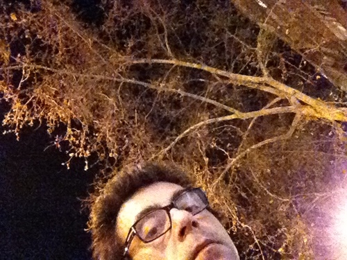 massimoincerti's profile picture. 