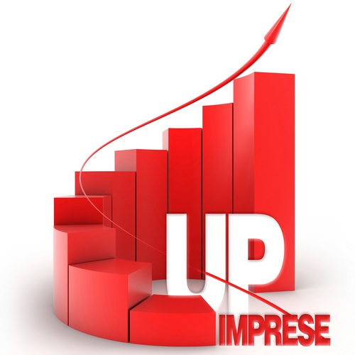 UP! Imprese è una business community che ha l’obiettivo di promuovere lo sviluppo della cultura d’impresa