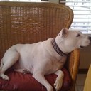 Terry Sell - @jtsell43 - Twitter