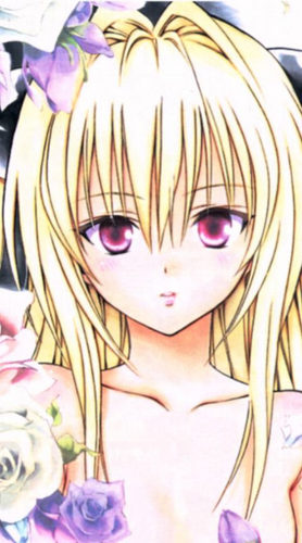 @ns_yami98のサブ垢です フォローよろしくお願いいたしますm(__)m