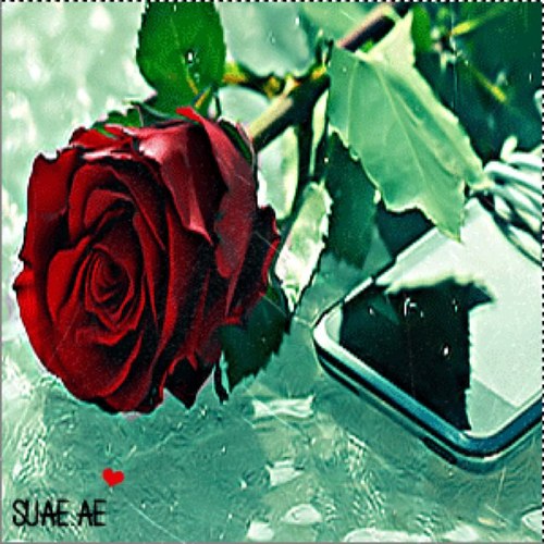 royal565's profile picture. 