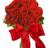shy141447zq's profile image