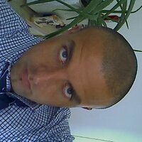 rich damm (@doggis) 's Twitter Profile