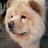 rokmc695gi's profile image