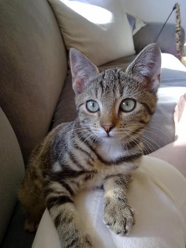 pukkie60's profile picture. 