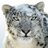 Escarcha409's profile image