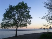 HxodwMichael's profile picture. アカウント作成しました！お願いします