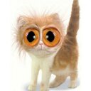 bazil 101 - @Harry2205buck - Twitter