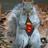 Super Squirrel