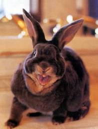 gretasanchezluz's profile picture. 