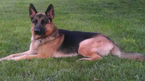 JohnnieGodfrey1's profile picture. 