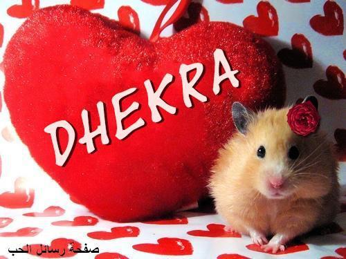 dhekrasboui1's profile picture. 