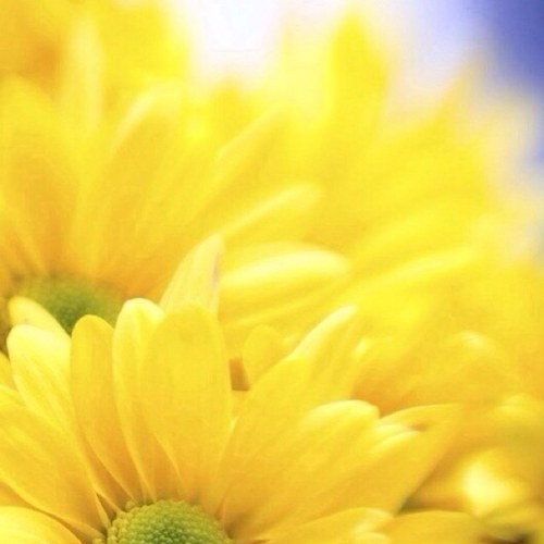 Rrrt123Xxx1122's profile picture. 