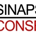 sinapses conseils (@sinapsesfrance) Twitter profile photo