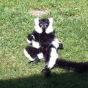 Gemma Hicks - @gemhicks - Twitter