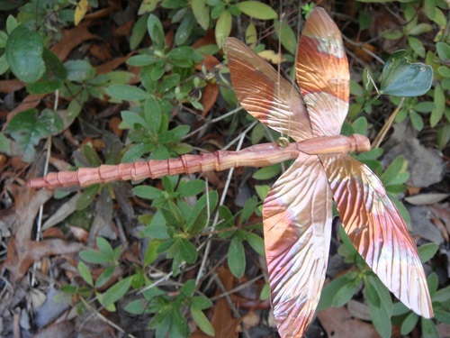 dragonflysfancy's profile picture. 