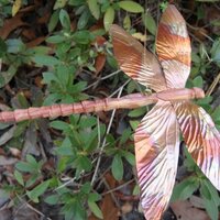 A Dragonflys Fancy (@dragonflysfancy) 's Twitter Profile
