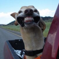 The darker the twist... (@amlayne) 's Twitter Profile