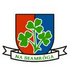 shamrocksgaaclub (@shamrocksgaa) Twitter profile photo shamrocksgaaclub (@shamrocksgaa) Twitter profile photo