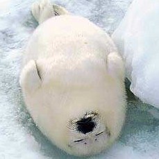 2eight4's profile picture. 