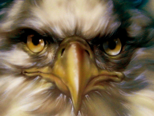 Janeeagle99's profile picture. Conservative Patriot