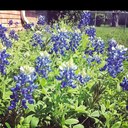 cyndi scott - @cks1119 - Twitter