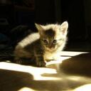 ben sears - @benneb33 - Twitter