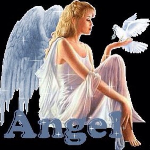 joswiss48's profile picture. 